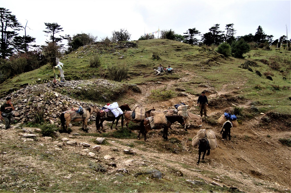 Druk Path Trek - Jele La